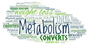 how to increase metabolism rate